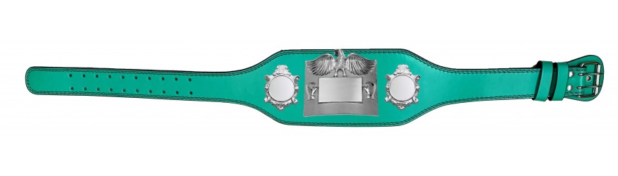 SMALL SILVER EAGLE CHAMPIONSHIP BELT - PLT299/S -4 COLOURS - BLACK, RED, BLUE, GREEN
